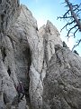 IMG_5886