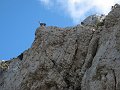 IMG_5899