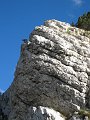 IMG_5903