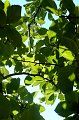P1050138