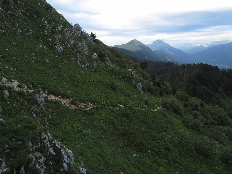 IMG_1682.JPG