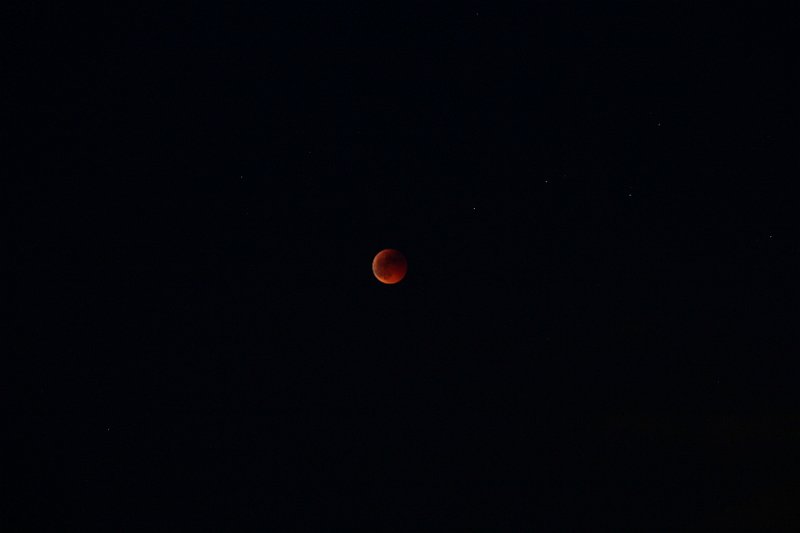 IMG_6305.JPG