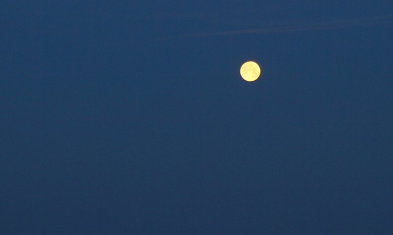 IMG_6359-detail.JPG