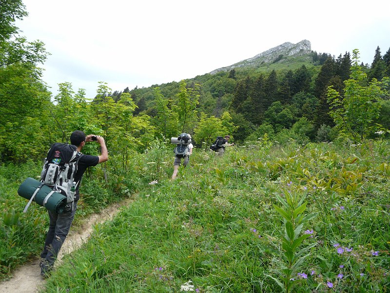 P1190050.JPG