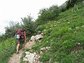 IMG_1679