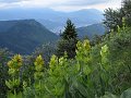 IMG_1681