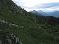 IMG_1682