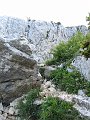 IMG_1687