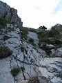 IMG_1688