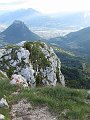 IMG_1694