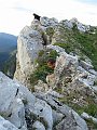IMG_1711