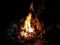 IMG_1859
