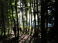IMG_1907