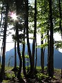 IMG_1909