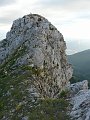 P1190066