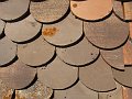 IMG_0616