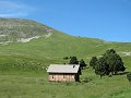 IMG_0639