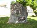 IMG_0653