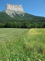 IMG_0659