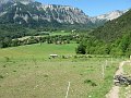 IMG_0661