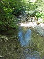 IMG_0723