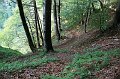 IMG_7577