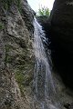 IMG_7592