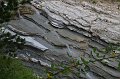 IMG_7602