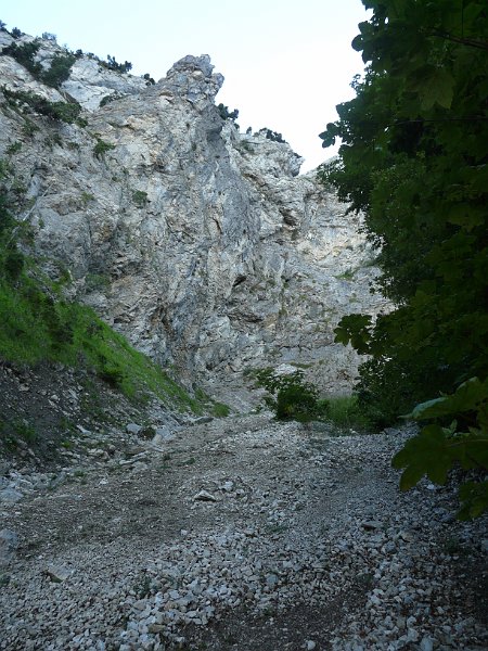 P1210246.JPG