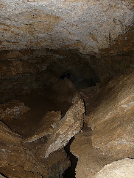 P1210256.JPG