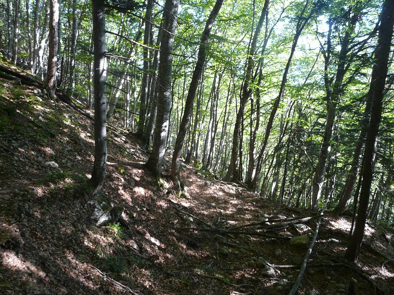 P1210373.JPG