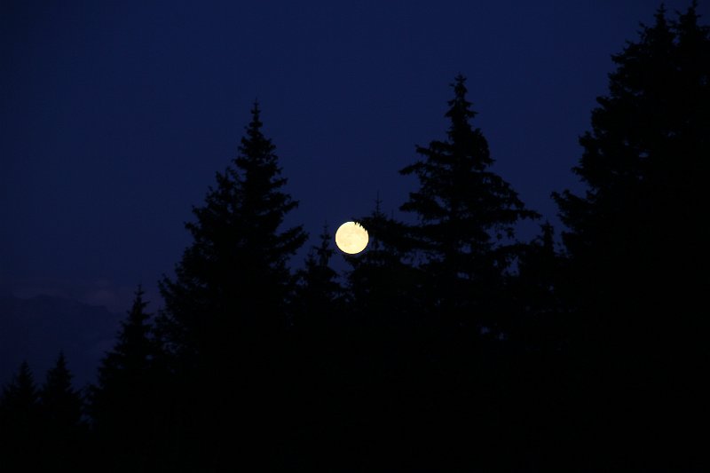 IMG_8171.JPG