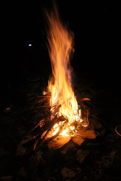 IMG_8177.JPG