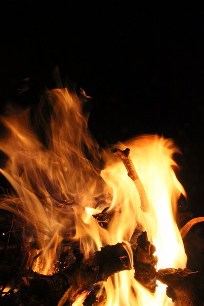 IMG_8178.JPG