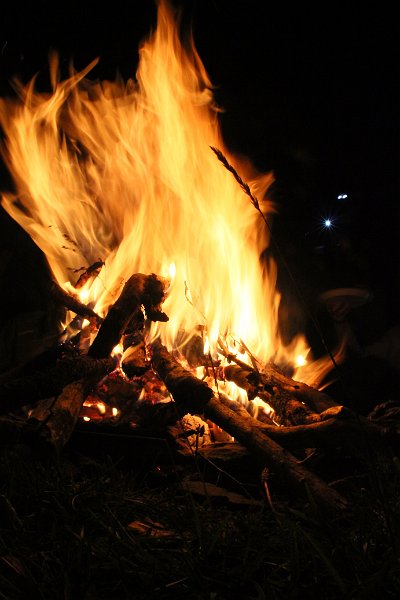 IMG_8183.JPG